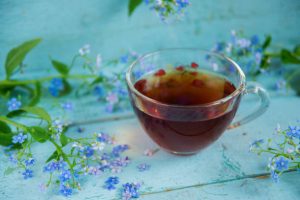Sambong tea benefits and side effects - Herbal na Gamot