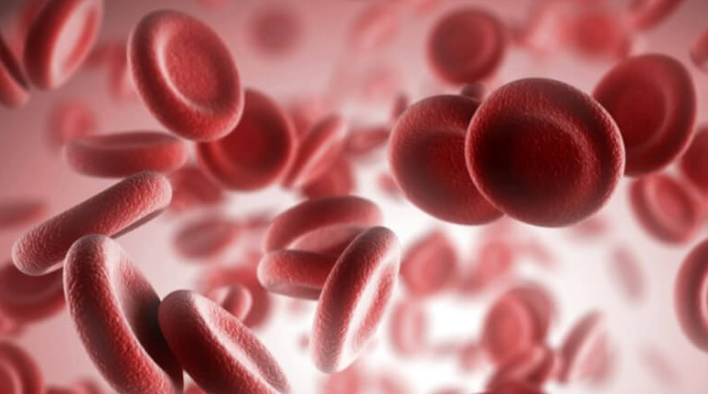 Ano Ang Pampataas ng Platelets? – Ang Kahalagahan ng Platelet