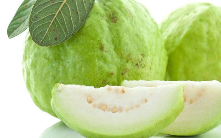 Mga Pakinabang ng Bayabas Bilang Halamang Gamot